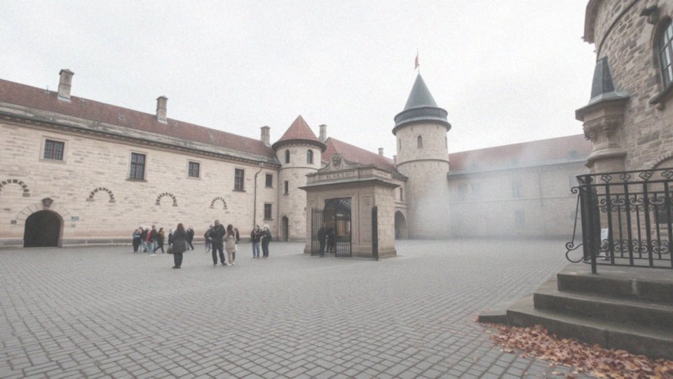 Jakie są minimalne wymogi dla grup zorganizowanych?