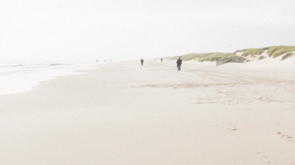 Jakie są najpopularniejsze plaże na wybrzeżu Holandii?