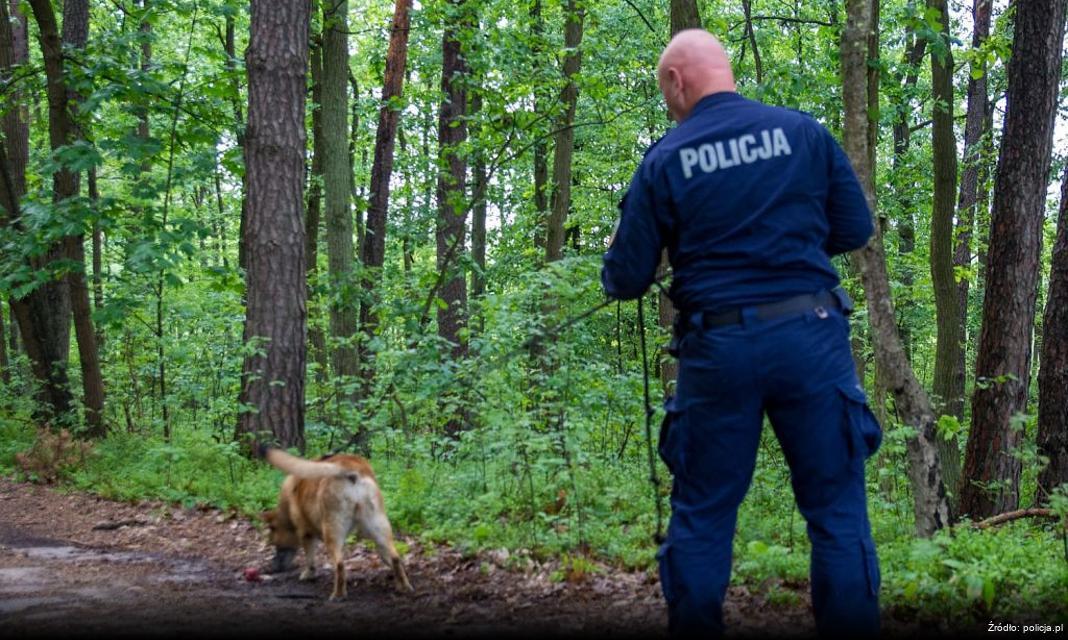 Oszustwa inwestycyjne w erze sztucznej inteligencji: Policja ostrzega mieszkańców Dzierżonia