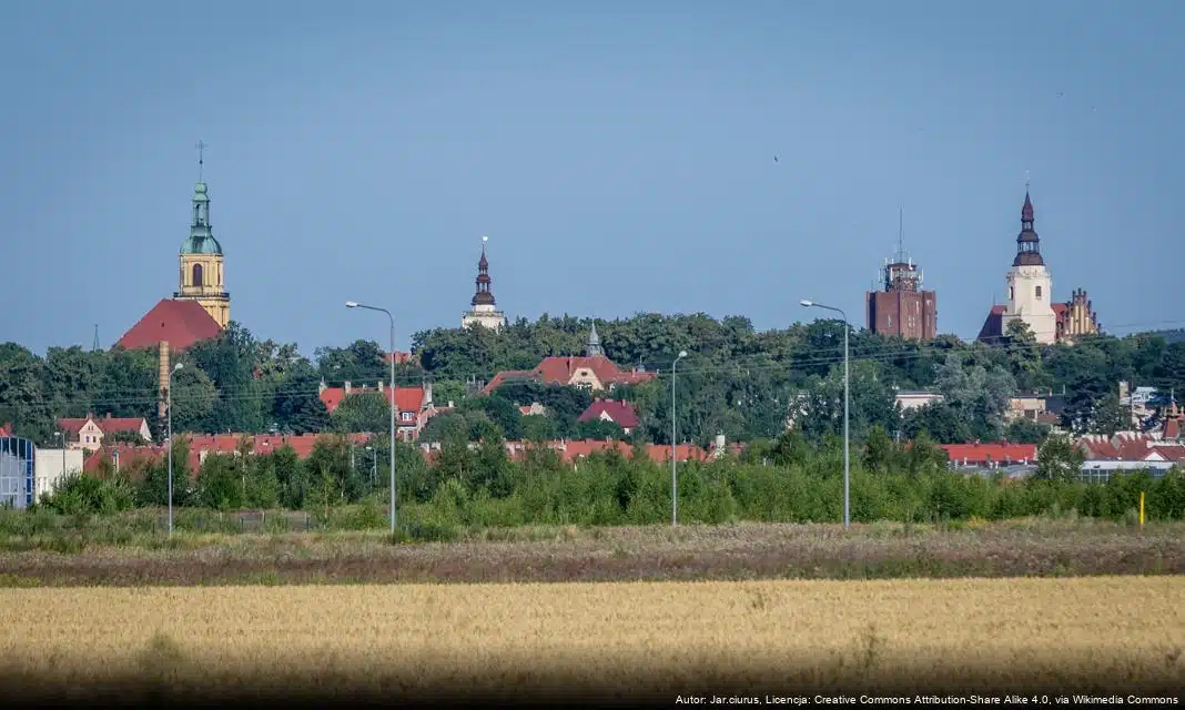 Podsumowanie demograficzne Dzierżoniowa za 2025 rok