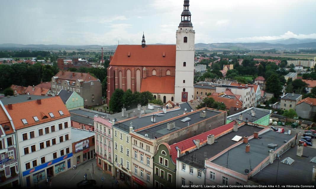 Junior Dzierżoniów triumfuje w zapasach i sumo