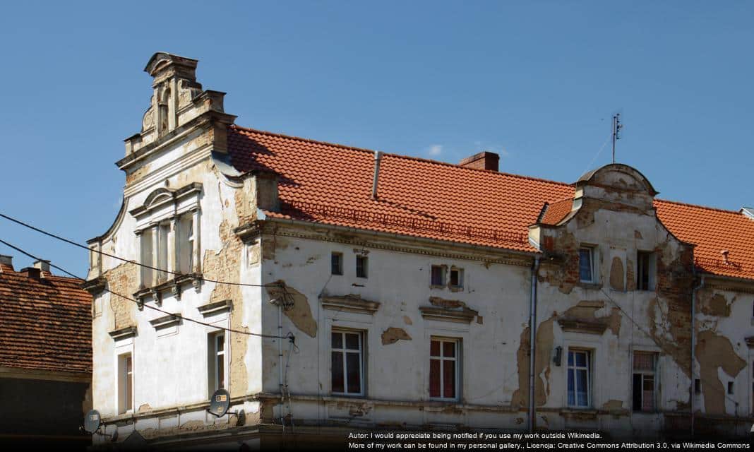 Nowe kwiaty w Dzierżoniowie: 400 azalii zasadzonych w Parku im. Sybiraków